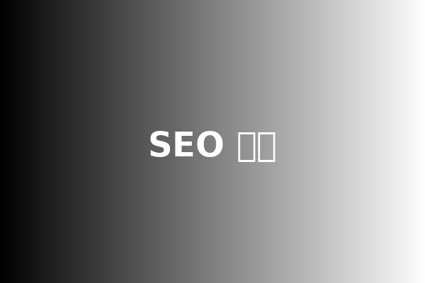 SEO 优化服务